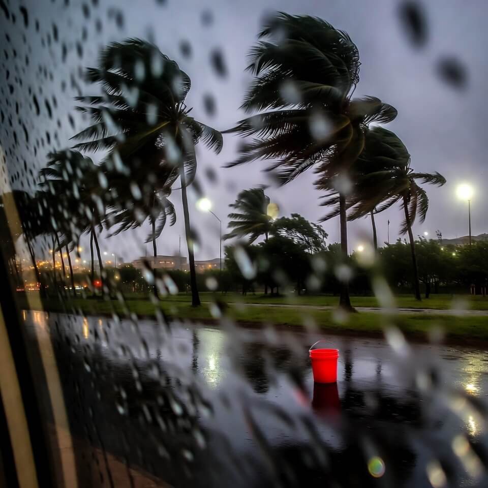 Blurry rain-streaked view of bent palms and rolling red bucket